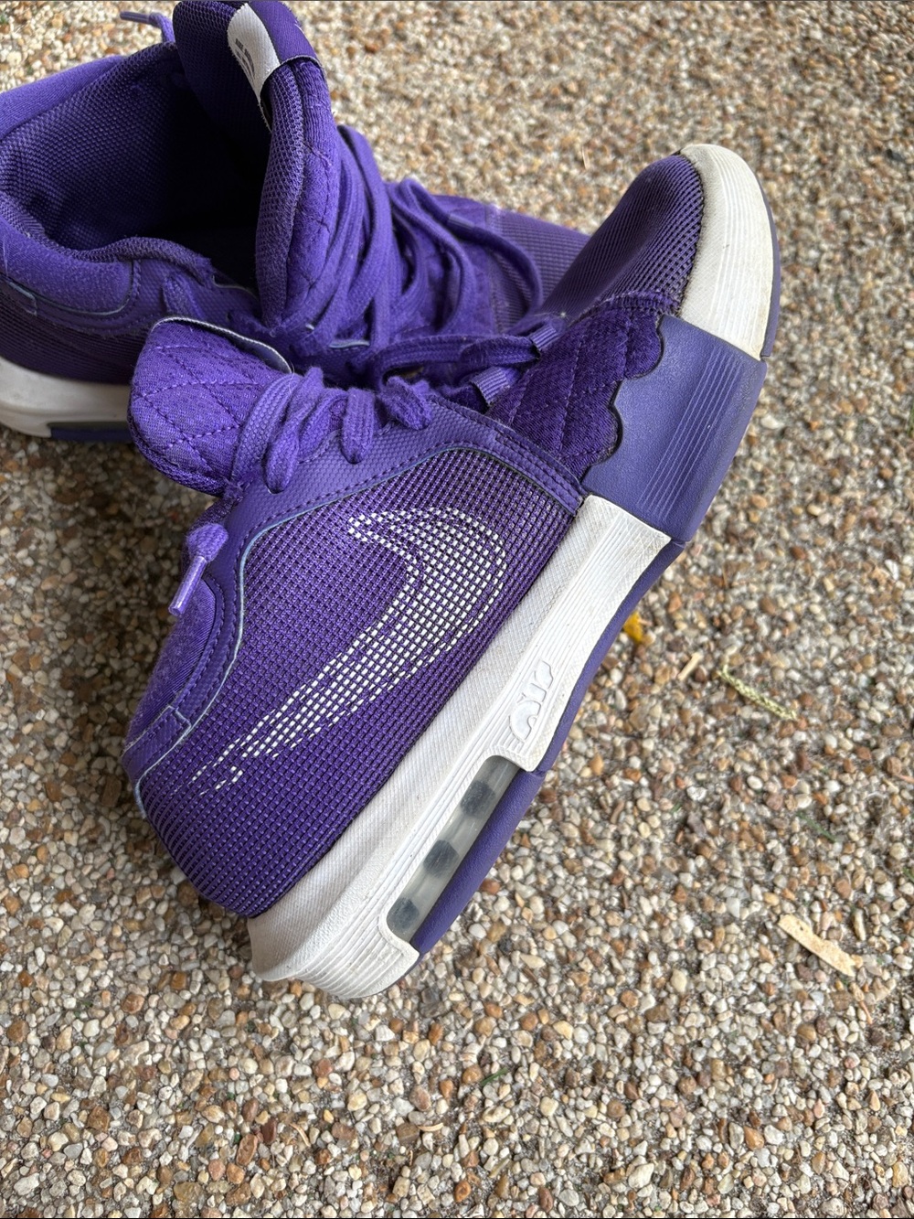 Nike LeBron James Purple High-Top Sneakers